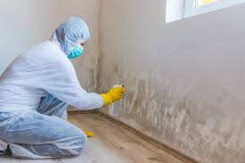 Why You Should Choose Our Mold Remediation Services in Lake Brownwood, TX